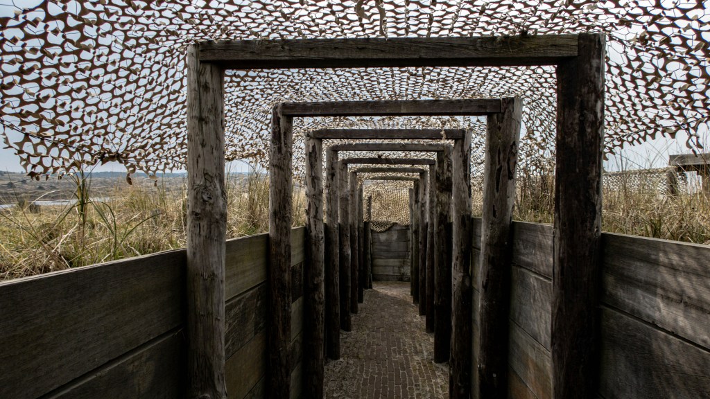 Perché “Trincea Gentile”?