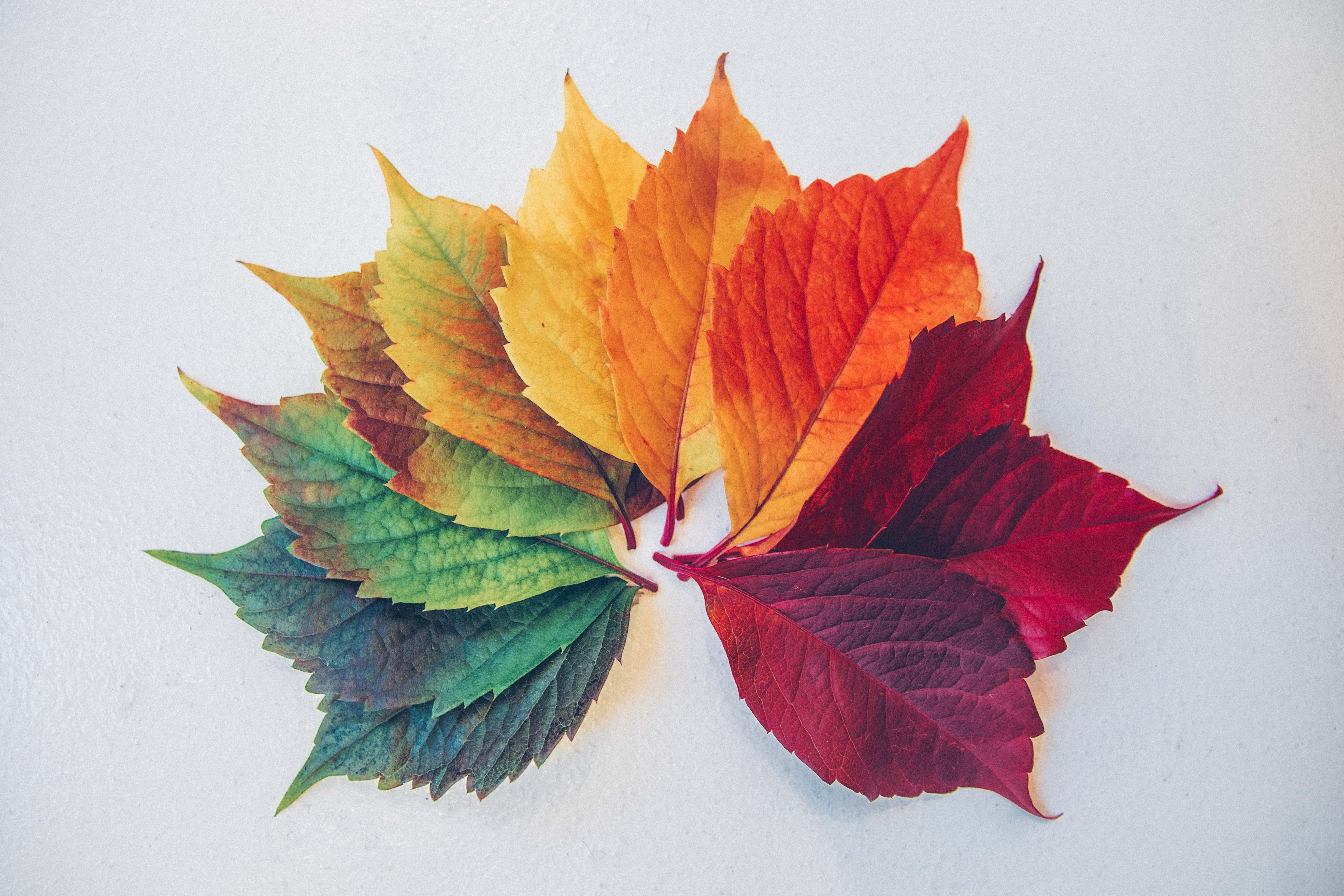 PoesiaDue – Leaf by leaf