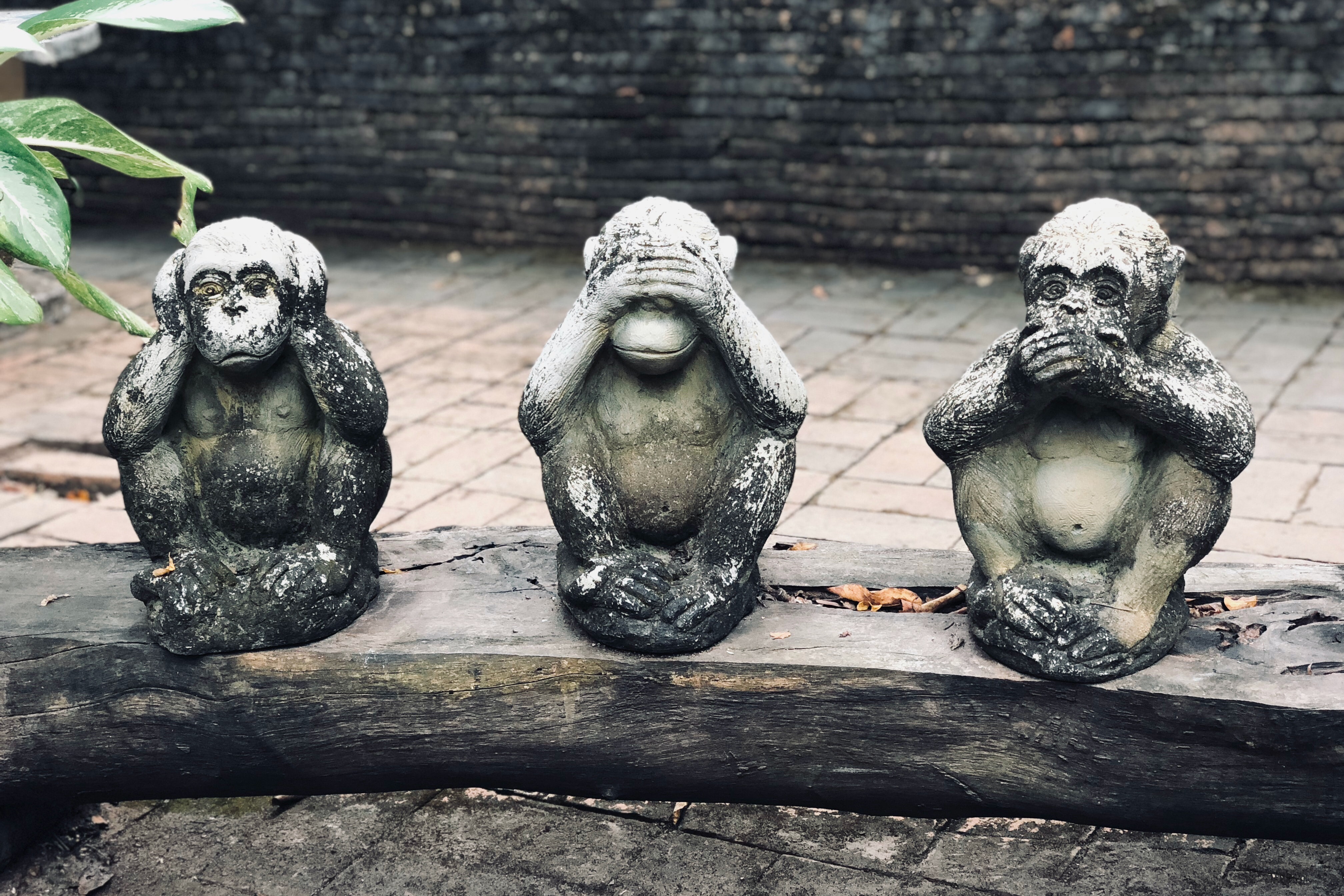 Detto, Visto e Fatto: Le tre scimmie dell’accidia