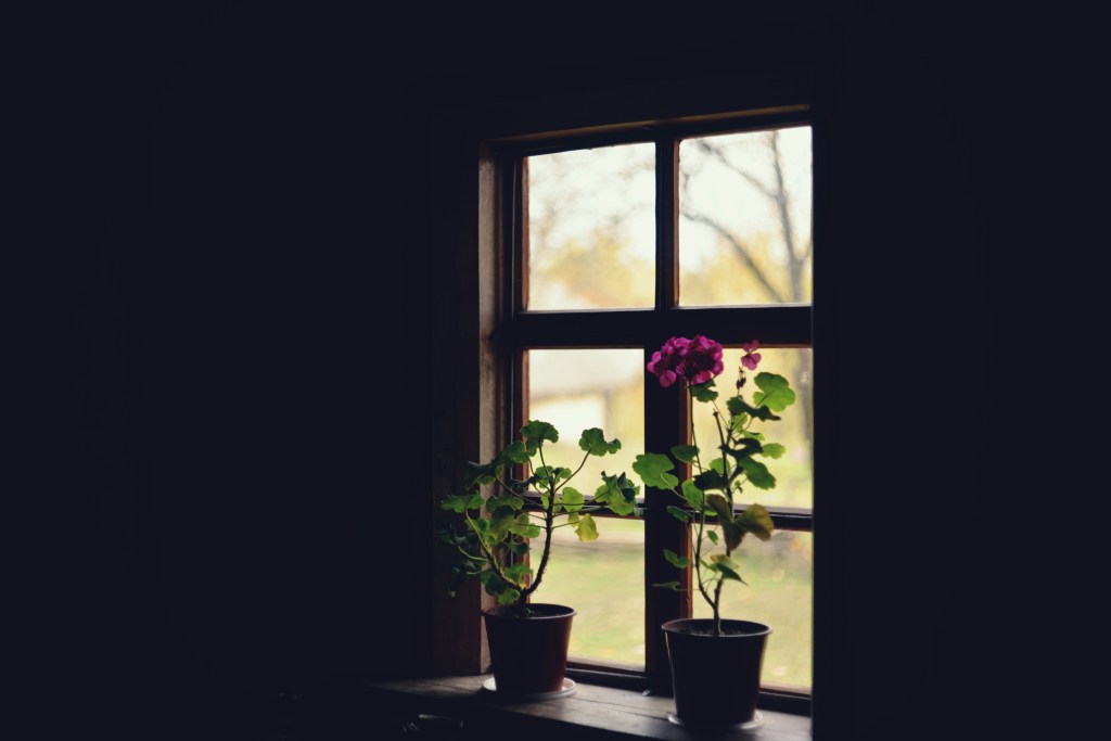 Verso ciò che&nbsp;palpita