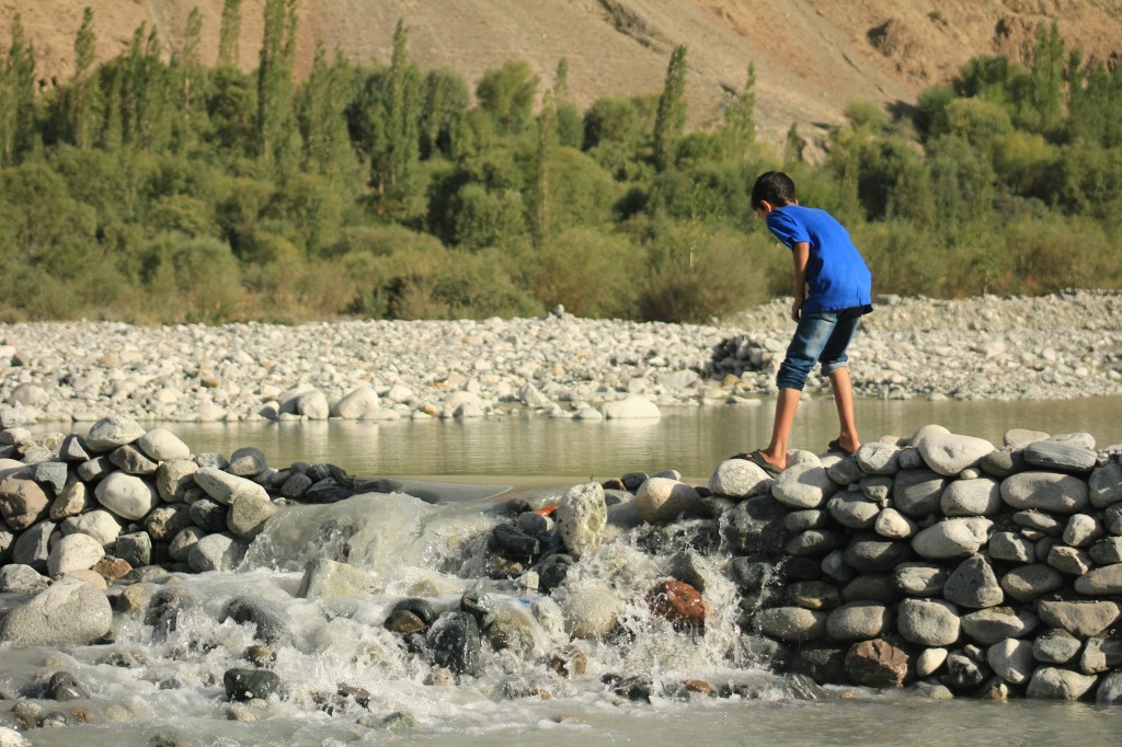 Acerba lealtà calpestata