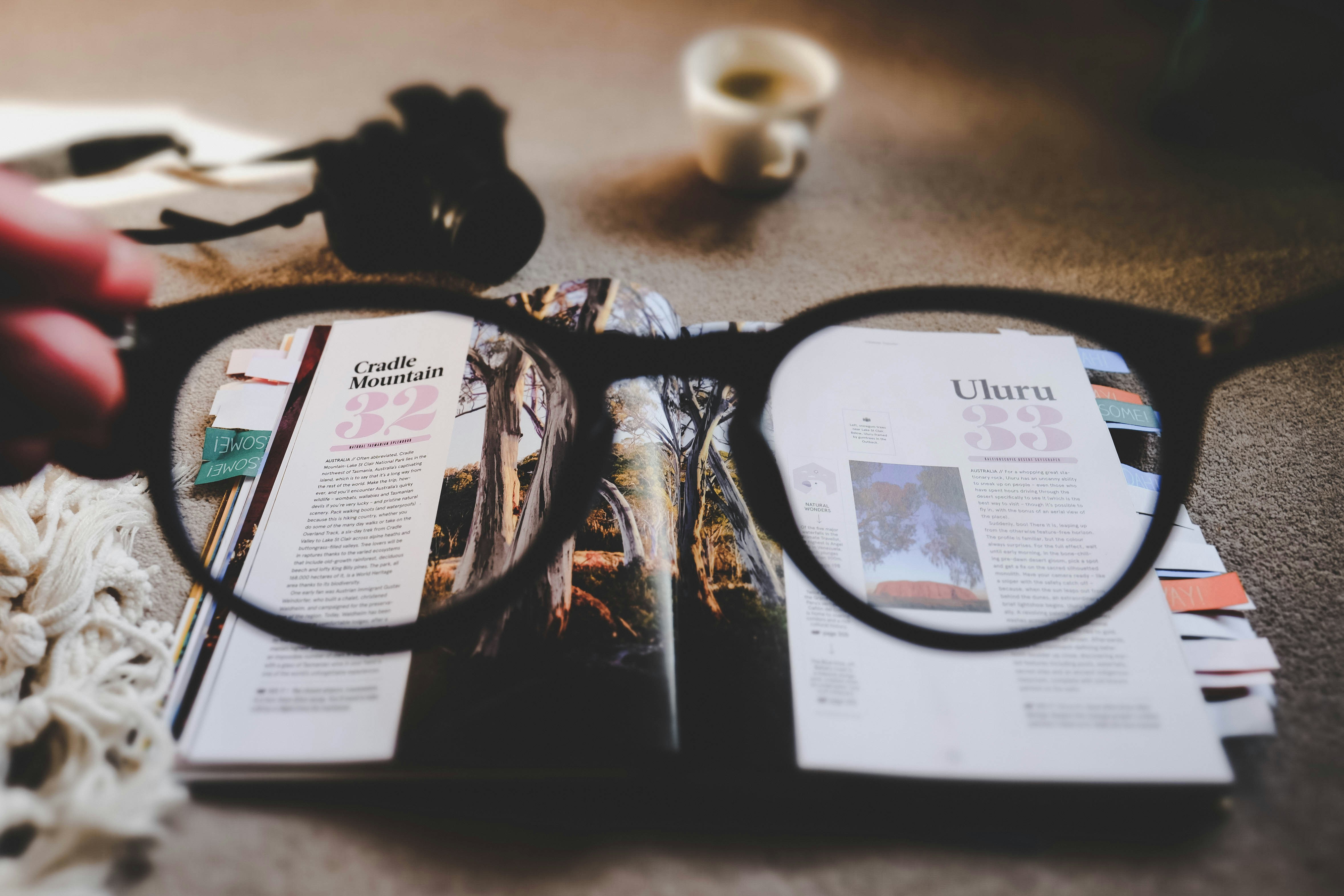 Tratteggio editoriale – Il seguito dell’appello