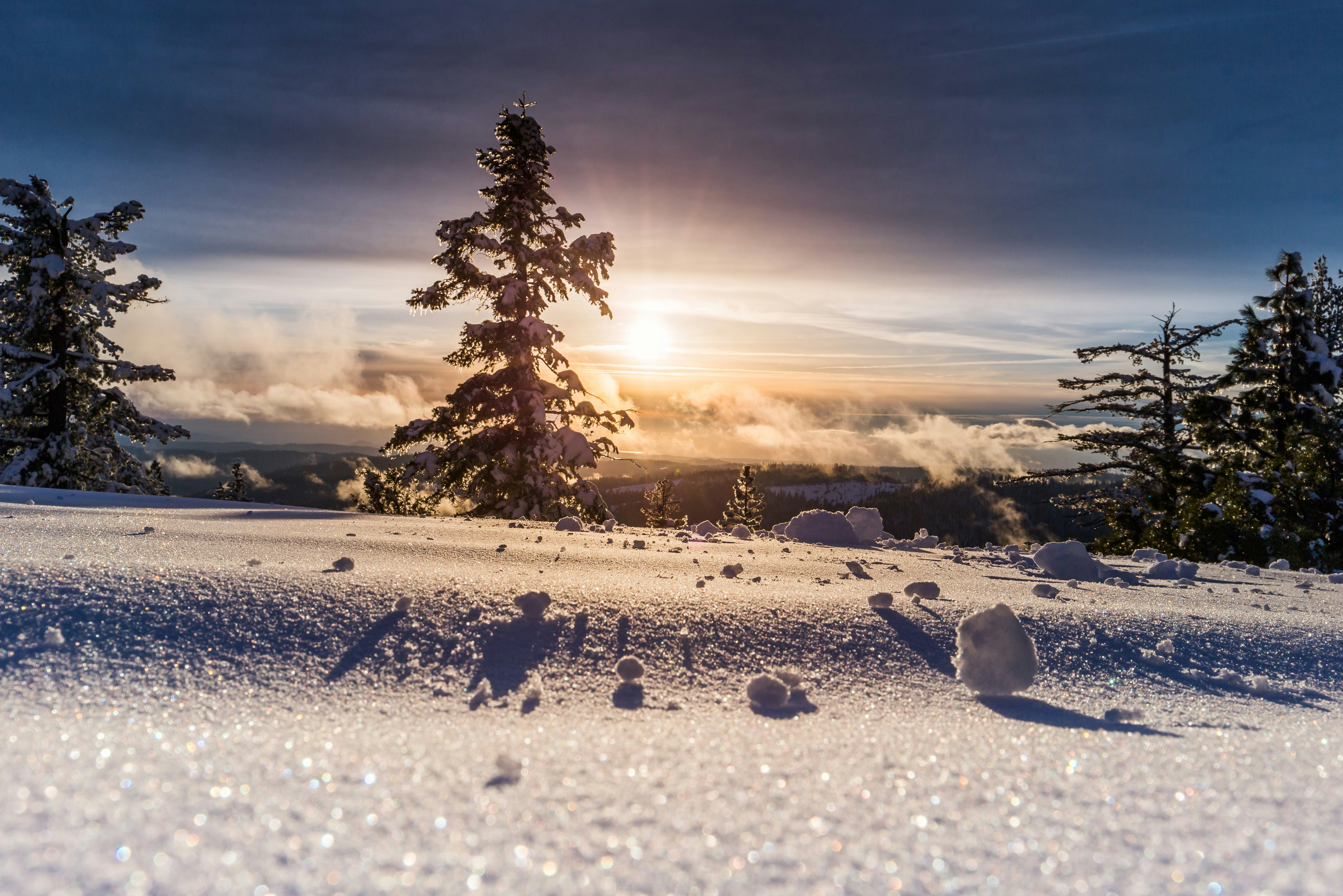 Trionfo di neve