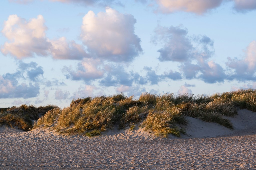 Polvere d’oro sulle&nbsp;dita