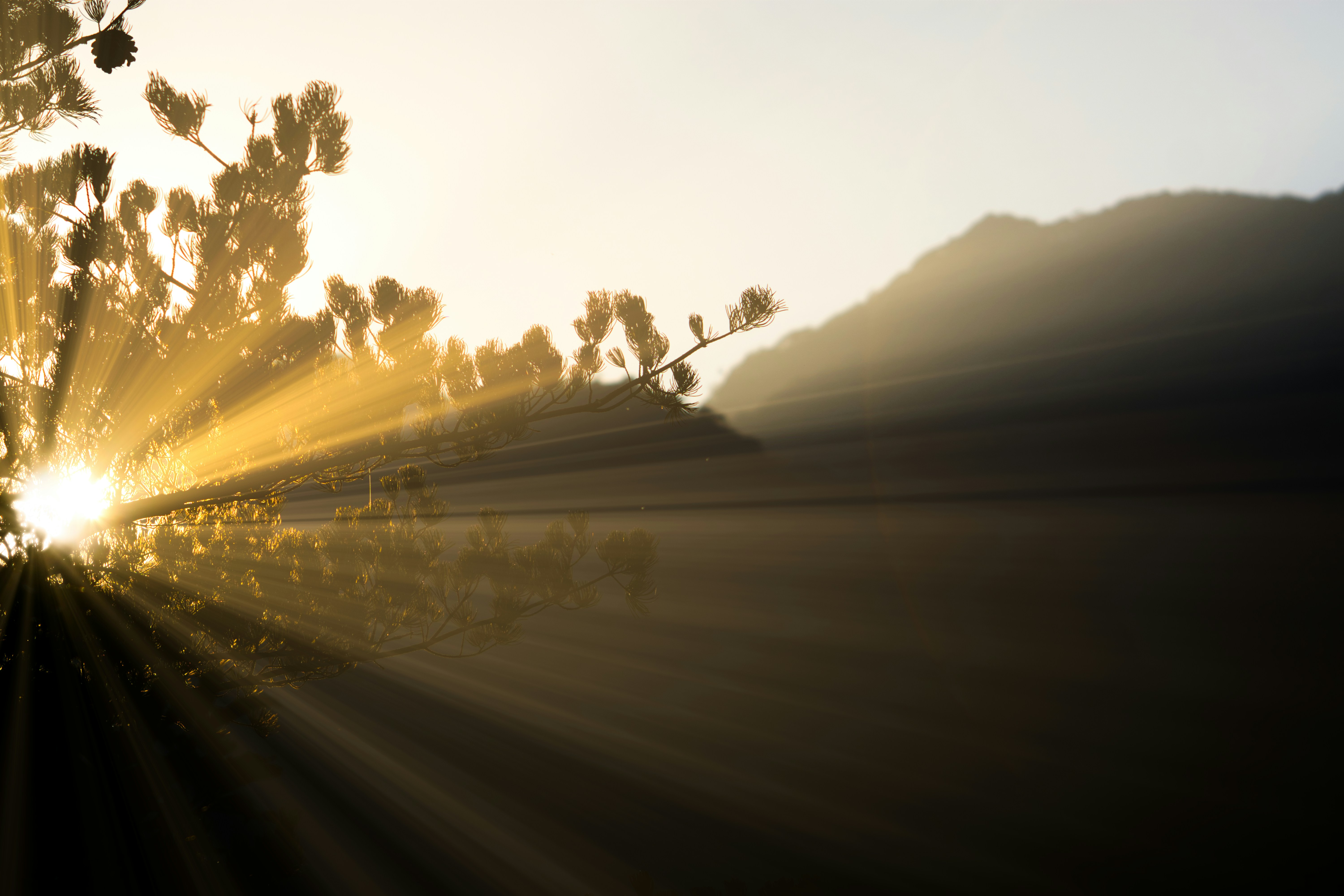 La luce di un abbaglio